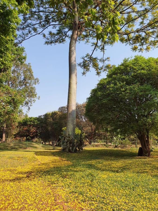 Appartamento Fazenda Santa Clementina Araras  Esterno foto