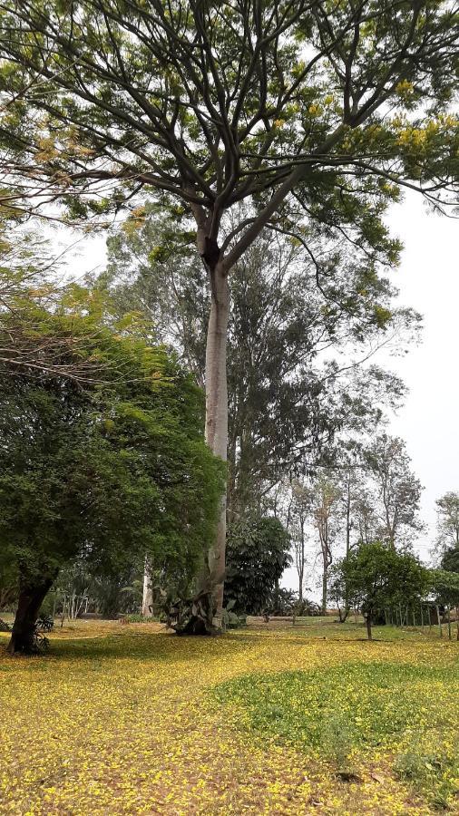 Appartamento Fazenda Santa Clementina Araras  Esterno foto